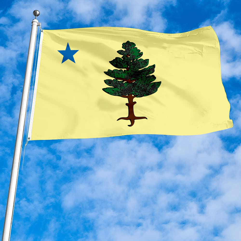 Fyon The United States Maine (1901–1909) Flag  Banner