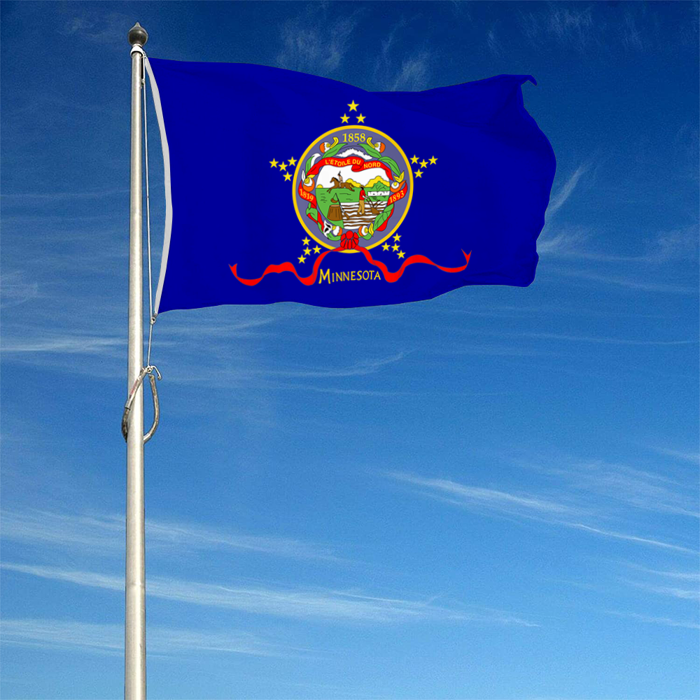 Fyon The United States Minnesota(January – February 28, 1893) Flag  Banner