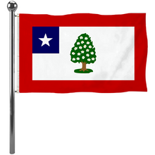 Fyon The United States Mississippi(1861-1865) Flag Banner