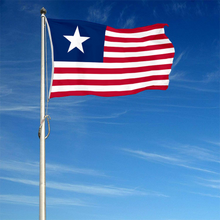 Fyon The United States Texas(1835–1839) Flag Banner