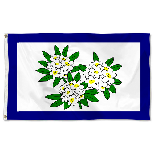 Fyon The United States West Virginia(1905–1907) Flag Banner