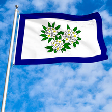 Fyon The United States West Virginia(1905–1907) Flag Banner