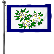 Fyon The United States West Virginia(1905–1907) Flag Banner