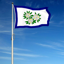 Fyon The United States West Virginia(1905–1907) Flag Banner