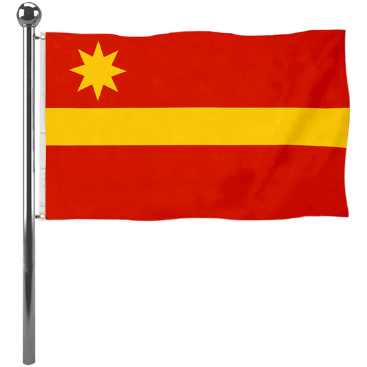 Fyon Toa Alta, Puerto Rico flag banner