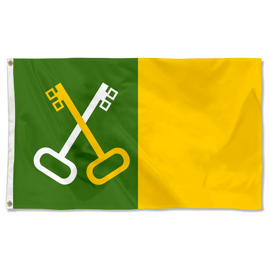 Fyon Toa Baja, Puerto Rico flag banner