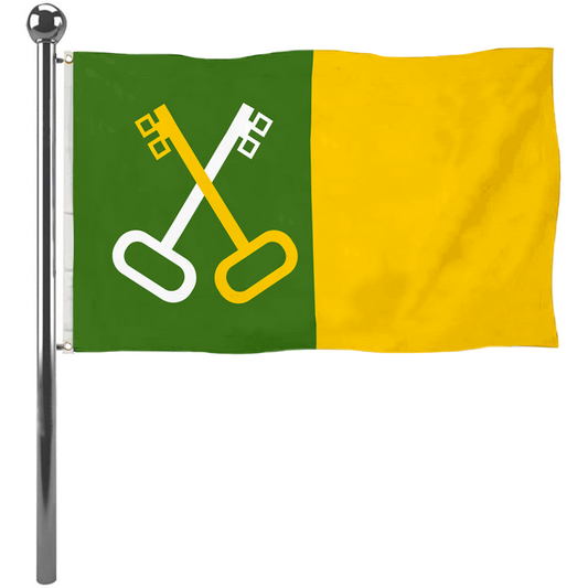 Fyon Toa Baja, Puerto Rico flag banner