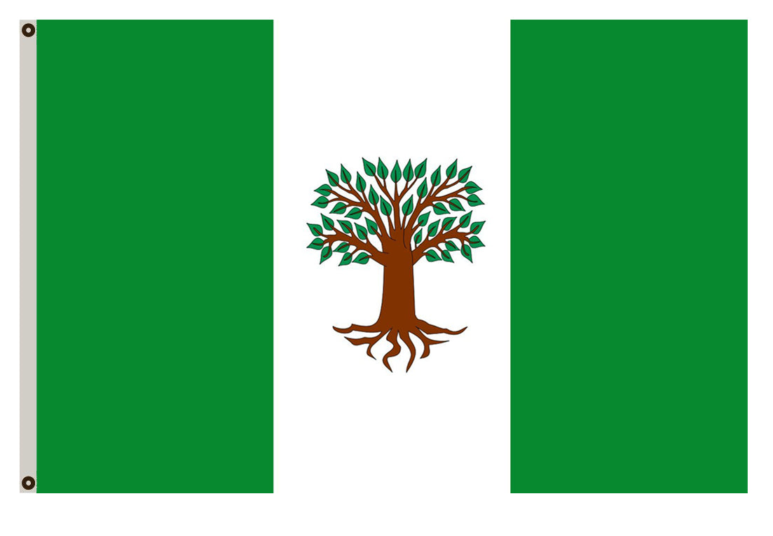 Fyon of Town of Pachavita; in Boyacá, Colombia flag banner