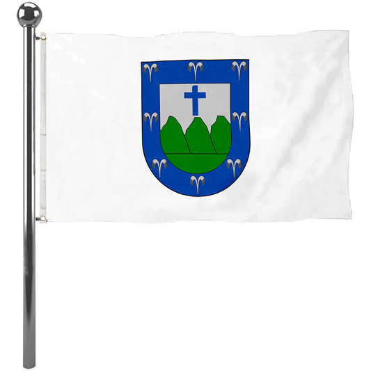 Fyon Trujillo Alto, Puerto Rico flag banner