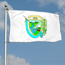 Fyon Valle Department, Honduras Flag  Indoor and outdoor banner