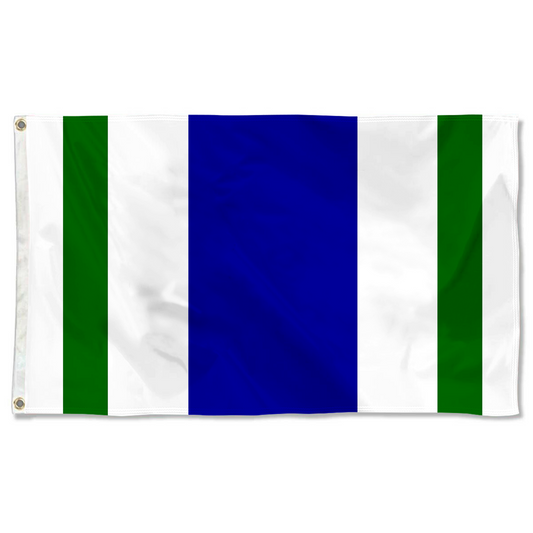 Fyon Vega Alta, Puerto Rico flag banner