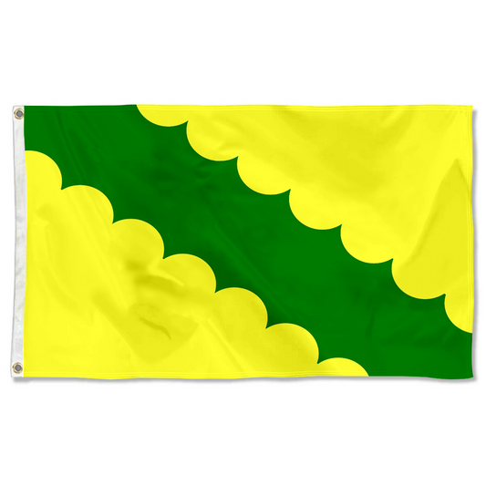 Fyon Vega Baja, Puerto Rico flag  banner