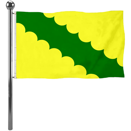 Fyon Vega Baja, Puerto Rico flag  banner