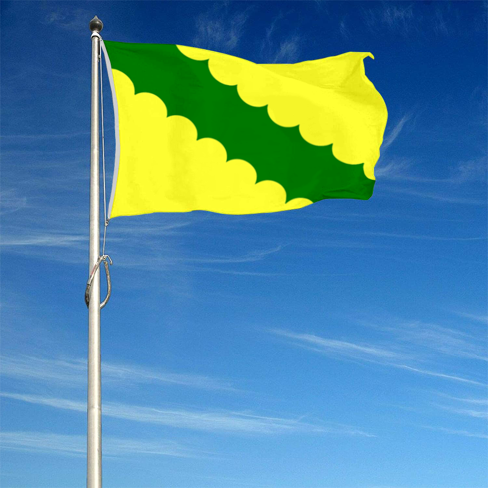 Fyon Vega Baja, Puerto Rico flag  banner