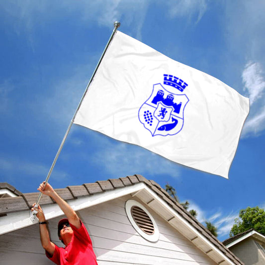 Fyon Vidin City and Province, Bulgaria Flag  Indoor and outdoor banner