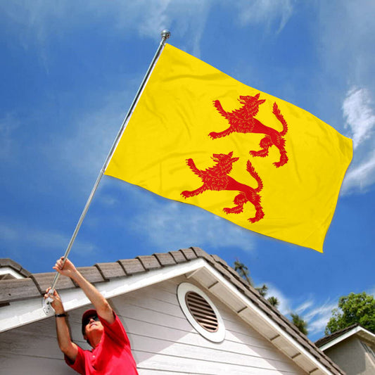 Fyon Villalobos, Sujeción Vertical Flag  Banner