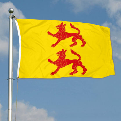 Fyon Villalobos, Sujeción Vertical Flag  Banner