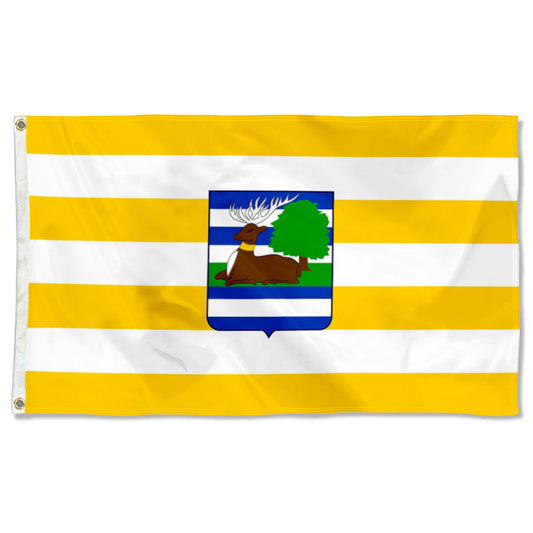 Fyon Vukovar Syrmia, Croatia Flag Indoor and outdoor banner