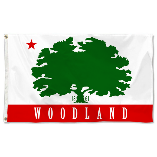 Fyon Woodland, California Flag Banner
