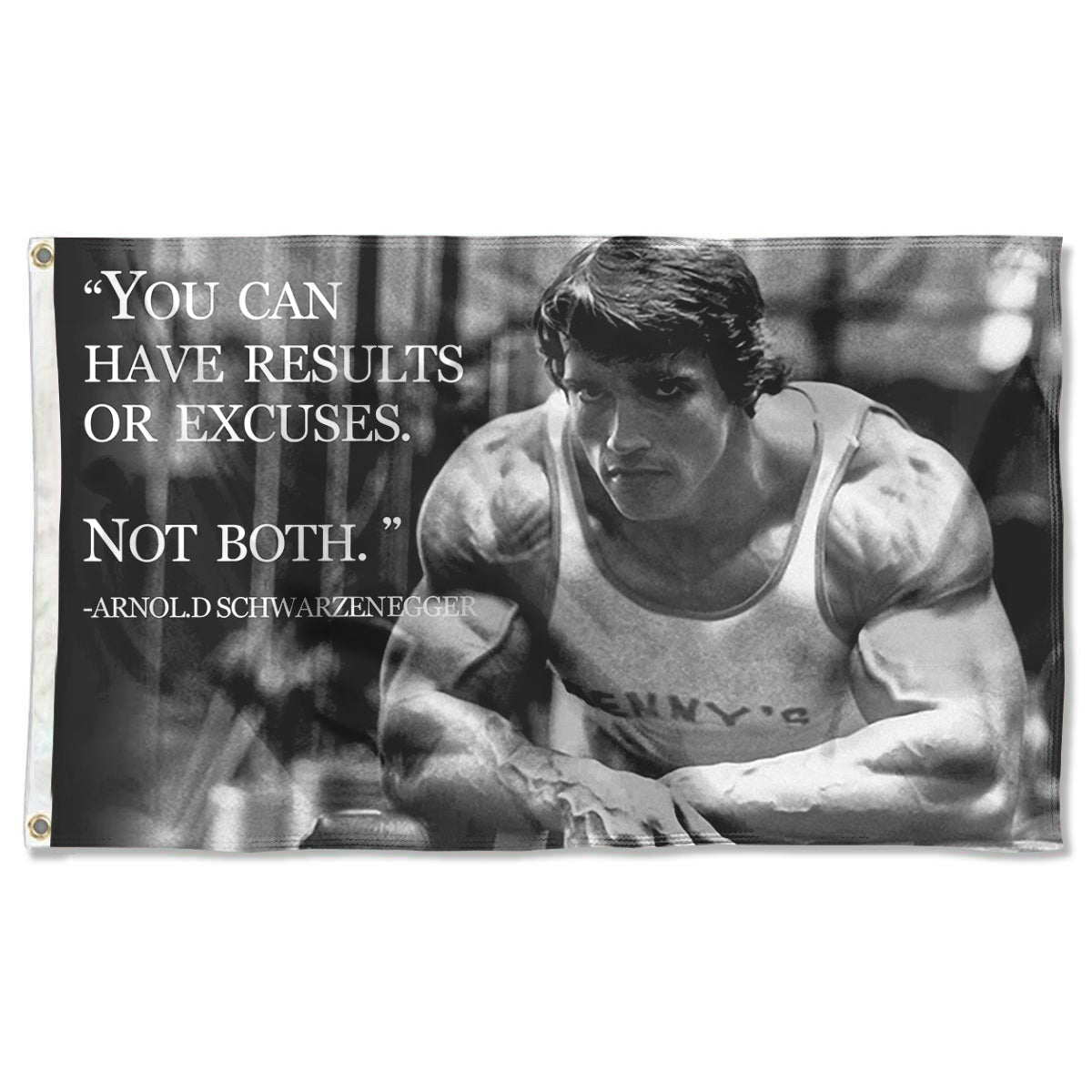 Fyon YOU CAN HAVE RESULTS Flag Indoor and outdoor banner