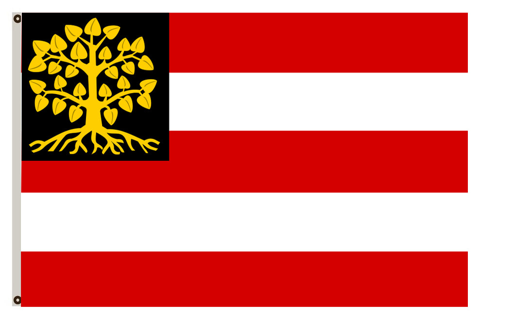 s-Hertogenbosch flag