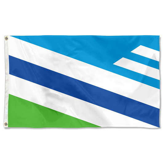 Fyon the City of Dayton, Ohio Flag banner