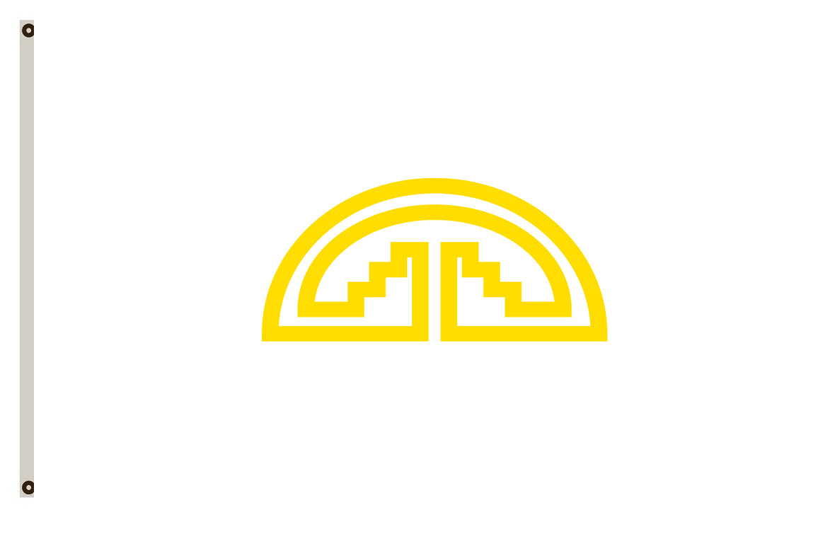 the Andean Community of Nations flag